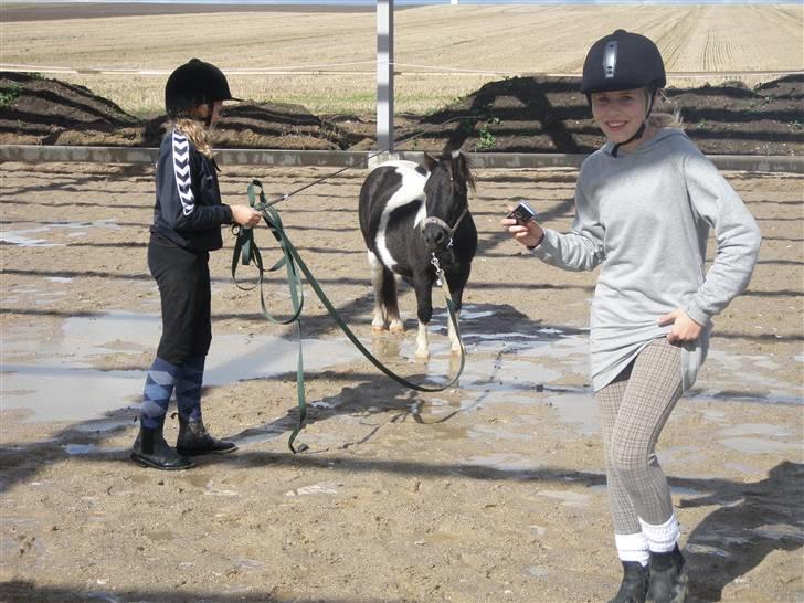 Toftegårdens ridecenter. billede 62