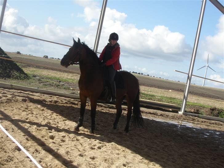 Toftegårdens ridecenter. billede 67