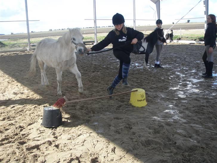 Toftegårdens ridecenter. billede 69