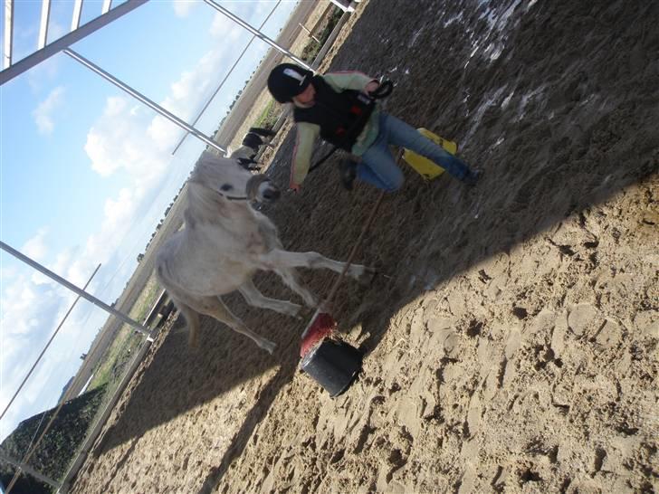 Toftegårdens ridecenter. billede 72