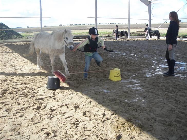 Toftegårdens ridecenter. billede 74
