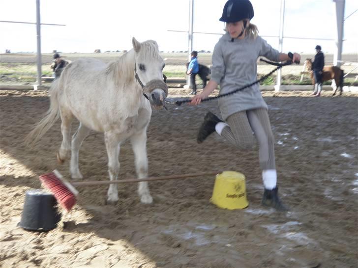 Toftegårdens ridecenter. billede 76