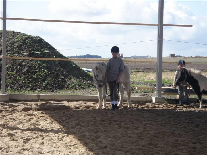 Toftegårdens ridecenter. billede 77