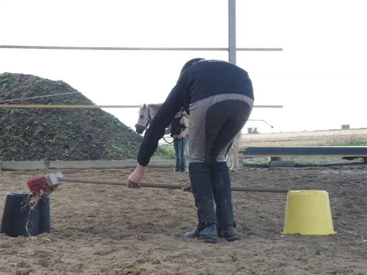 Toftegårdens ridecenter. billede 80