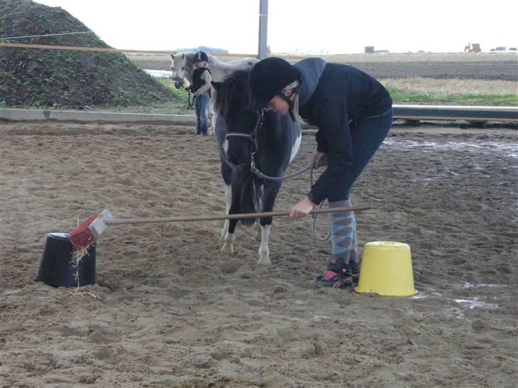 Toftegårdens ridecenter. billede 82