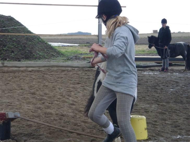 Toftegårdens ridecenter. billede 83