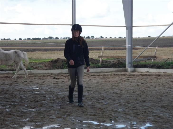Toftegårdens ridecenter. billede 84