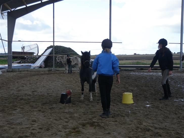 Toftegårdens ridecenter. billede 88