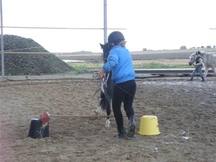 Toftegårdens ridecenter. billede 89