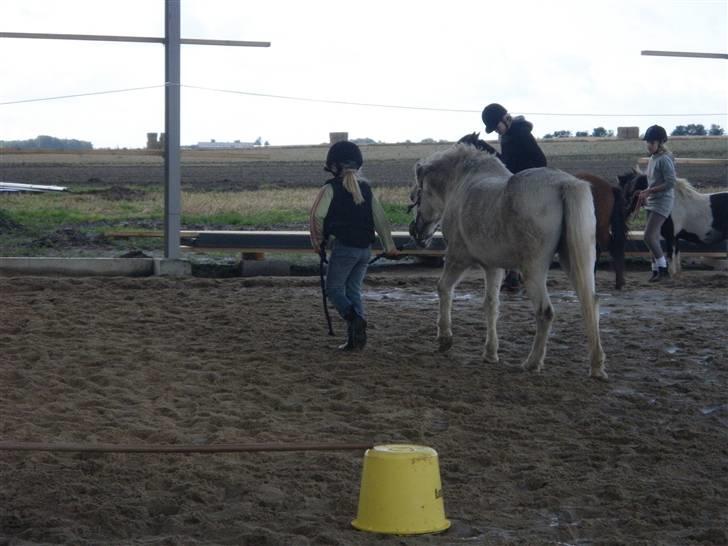 Toftegårdens ridecenter. billede 93