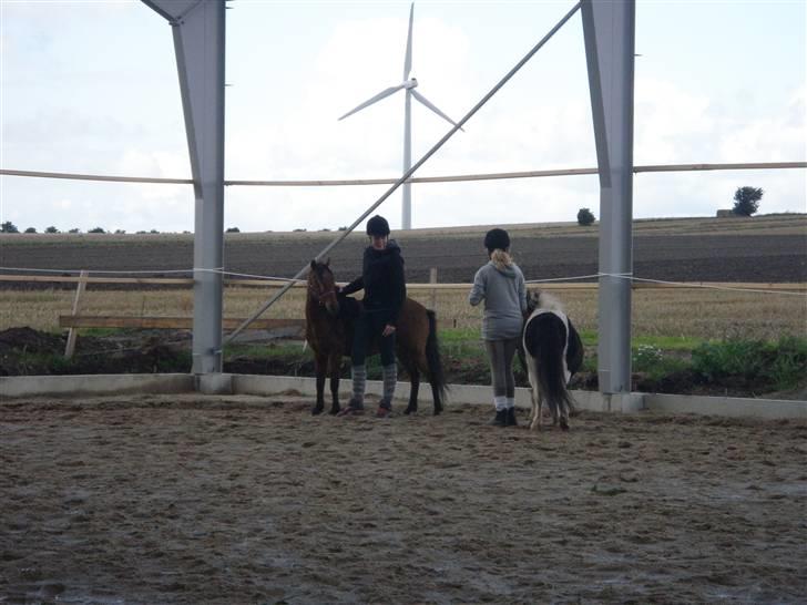 Toftegårdens ridecenter. billede 94