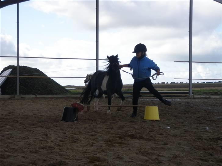 Toftegårdens ridecenter. billede 95