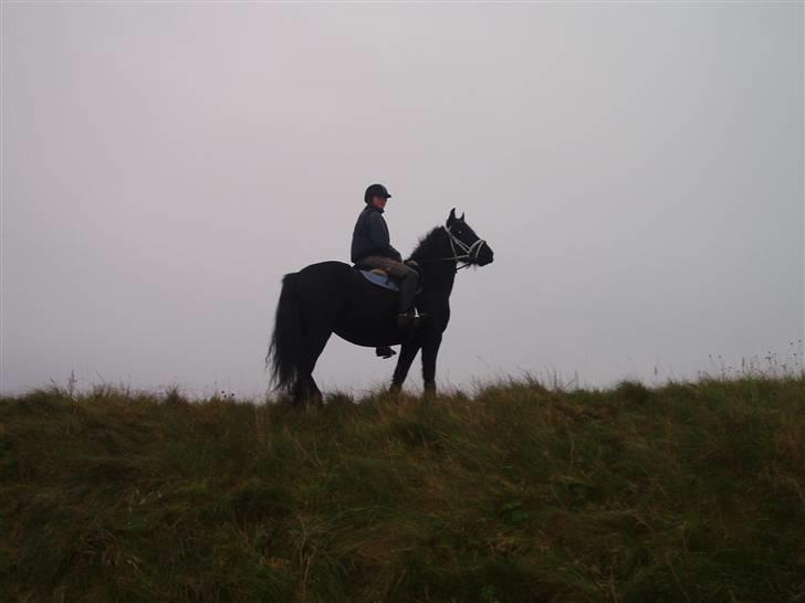 Bisnapgård efterskole (heste) billede 12