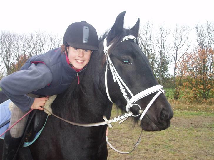 Bisnapgård efterskole (heste) billede 13