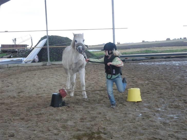 Toftegårdens ridecenter. billede 98