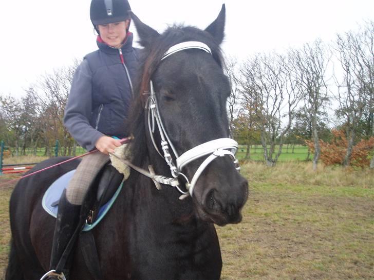 Bisnapgård efterskole (heste) billede 14