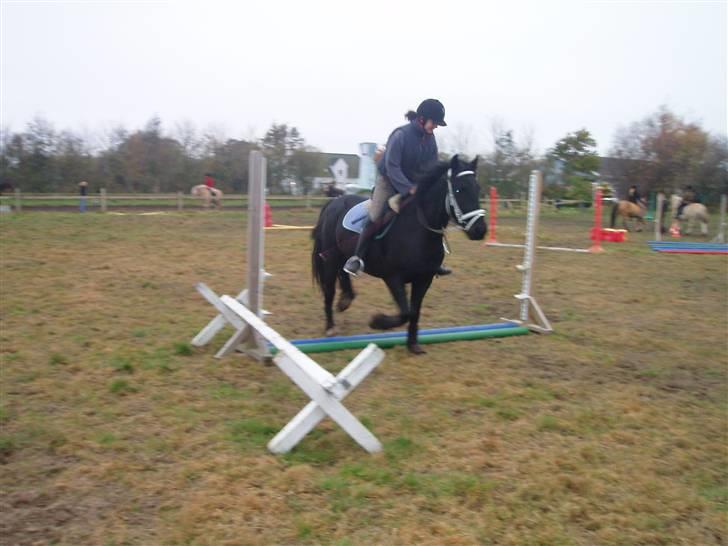 Bisnapgård efterskole (heste) billede 15