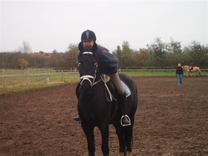Bisnapgård efterskole (heste) billede 18