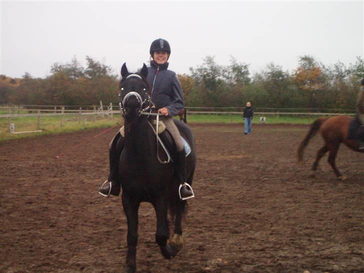 Bisnapgård efterskole (heste) billede 19