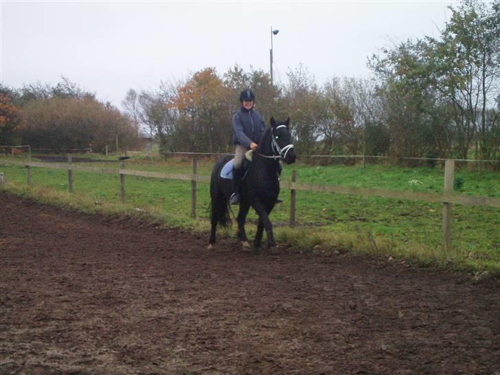 Bisnapgård efterskole (heste) billede 22