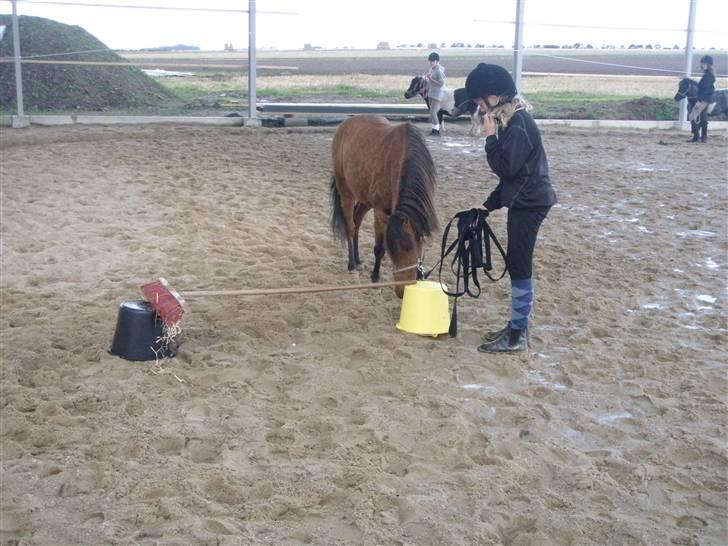 Toftegårdens ridecenter. billede 100