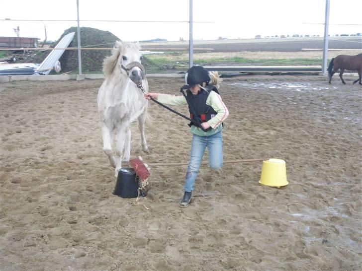 Toftegårdens ridecenter. billede 101