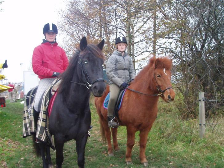 Bisnapgård efterskole (heste) billede 33