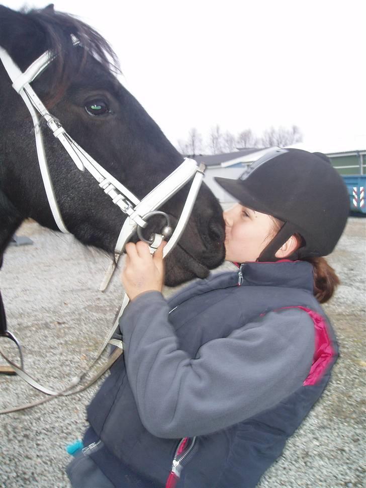 Bisnapgård efterskole (heste) billede 34
