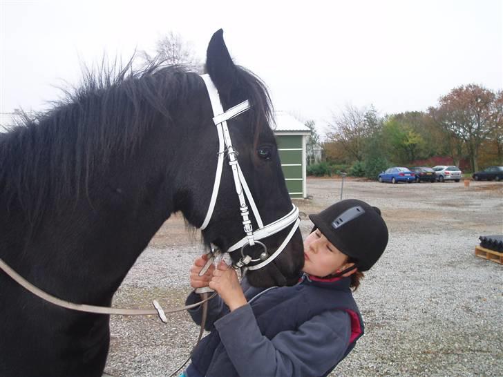 Bisnapgård efterskole (heste) billede 35
