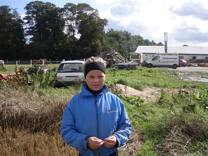 Toftegårdens ridecenter. billede 104