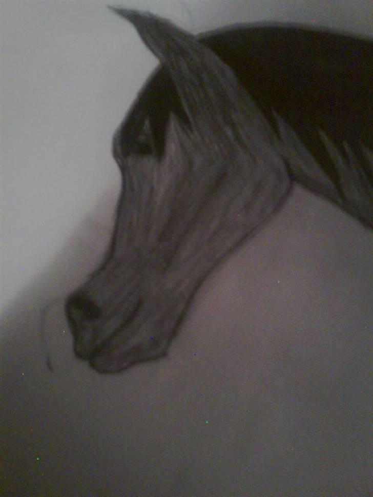 Mine tegninger <3 billede 4