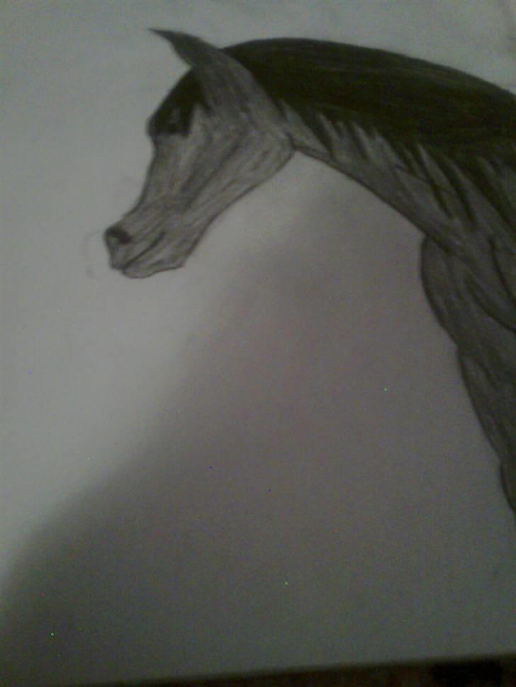 Mine tegninger <3 billede 5