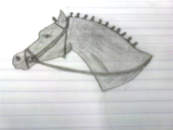Mine tegninger <3 - En af mine bedste hestetegninger :) billede 9