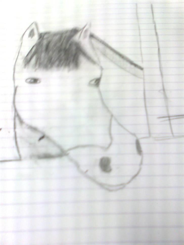 Mine tegninger <3 billede 14