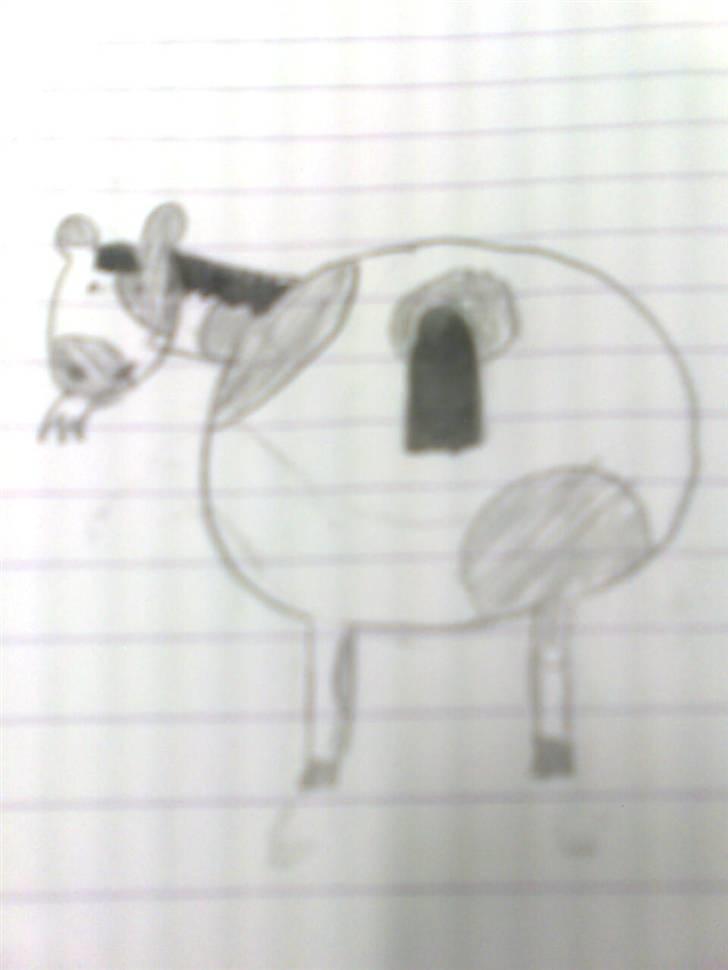 Mine tegninger <3 billede 18