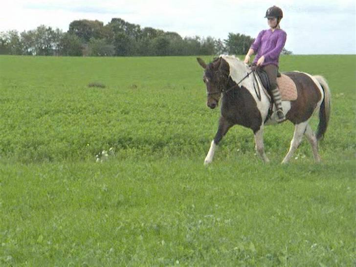 Dyrene - PLet og Amalie :D billede 2