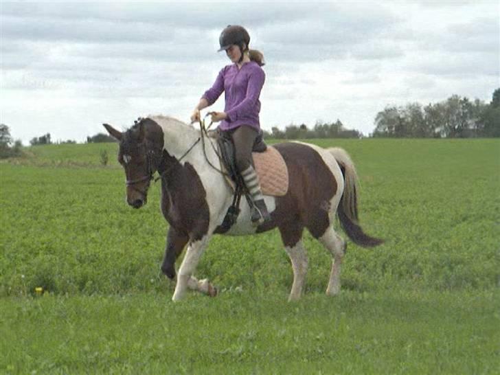 Dyrene - PLet og Amalie :D billede 3