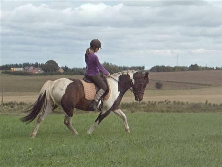 Dyrene - PLet og Amalie :D billede 4