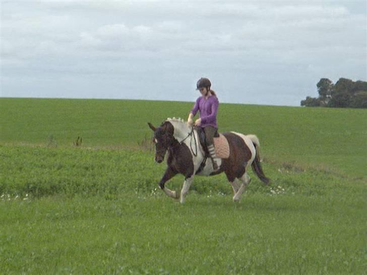 Dyrene - PLet og Amalie :D billede 5