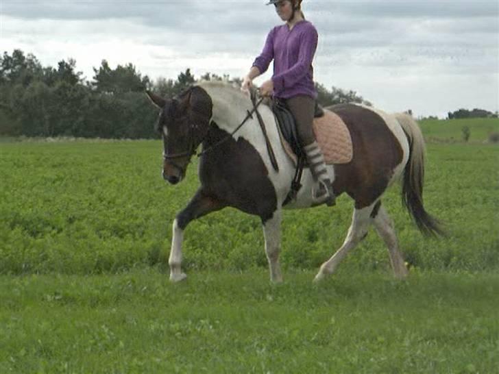 Dyrene - PLet og Amalie :D billede 6