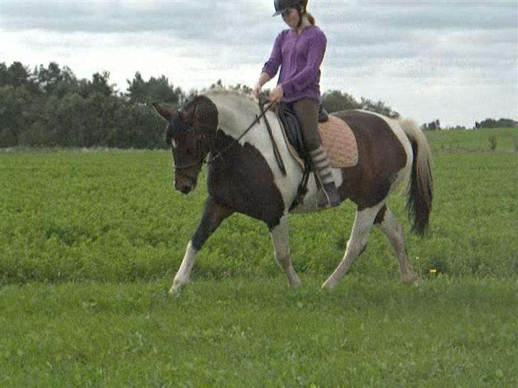 Dyrene - PLet og Amalie :D billede 7