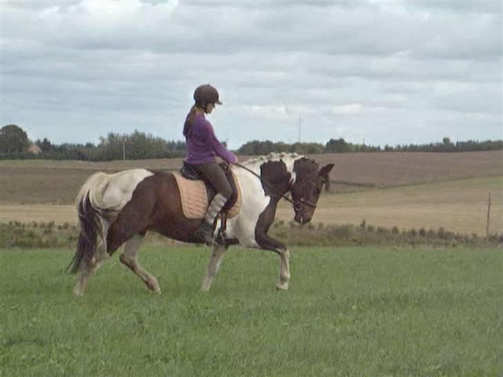 Dyrene - PLet og Amalie :D billede 8