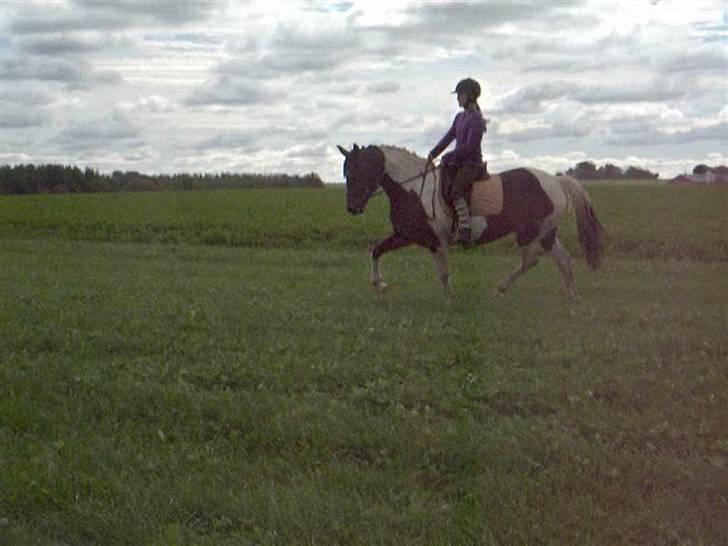 Dyrene - PLet og Amalie :D billede 9