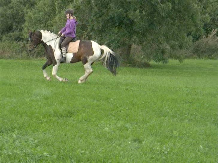 Dyrene - PLet og Amalie :D billede 10