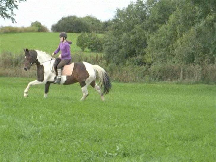 Dyrene - PLet og Amalie :D billede 11