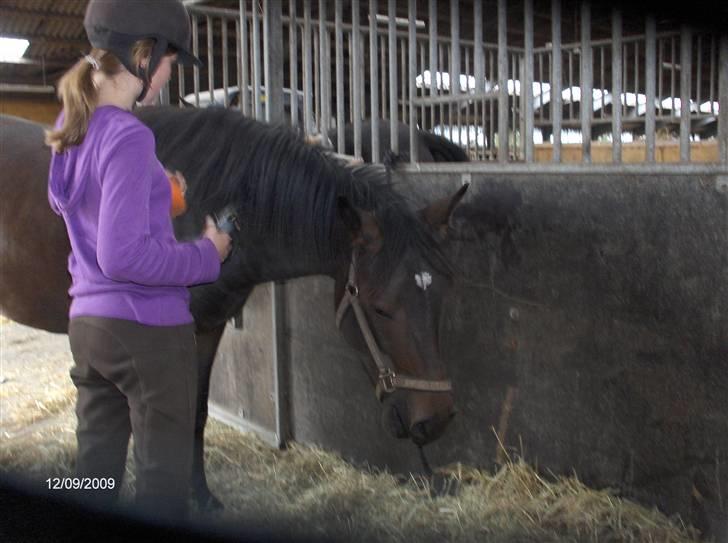 Dyrene - Pondus :D - nussetid :) billede 31