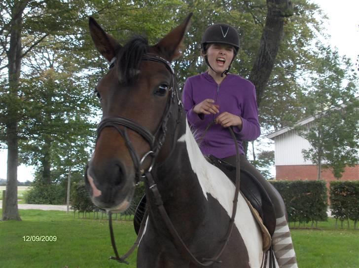 Dyrene - Hehe, kan godt forstå Plet :)... Underlige Amalie :p billede 32