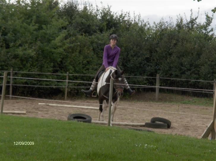 Dyrene - Plet og underlige Amalie :p - skridter af. billede 33