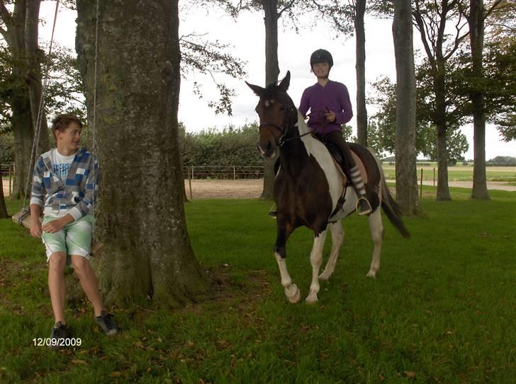 Dyrene - Og igen :) billede 35