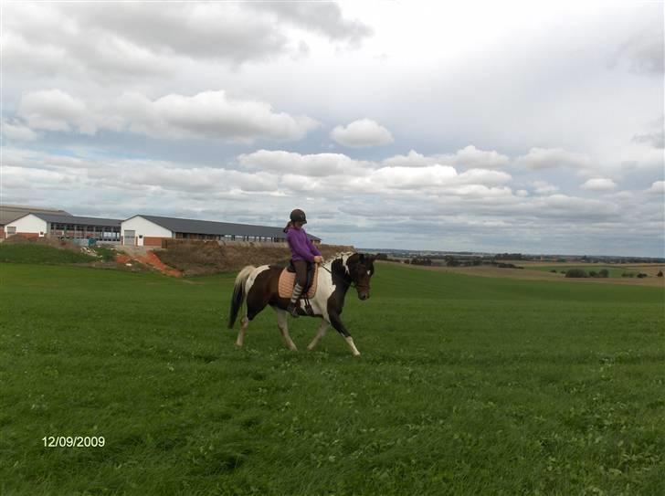 Dyrene - Flere ridebilleder af Plet og Amalie :) billede 37